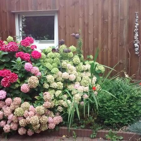 1 Raum Appartement Mit Kuechenzeile In カッペルン エクステリア 写真